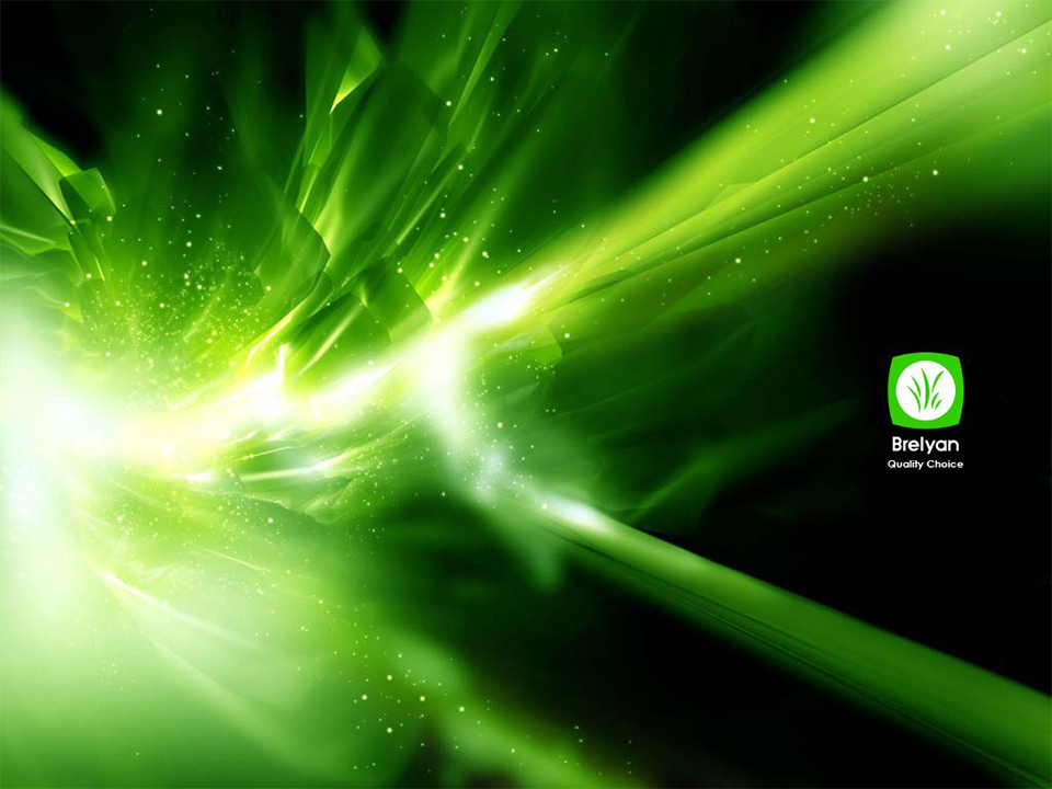 درباره محصولات و شرکت ریوالد | لوازم خانگی ایران